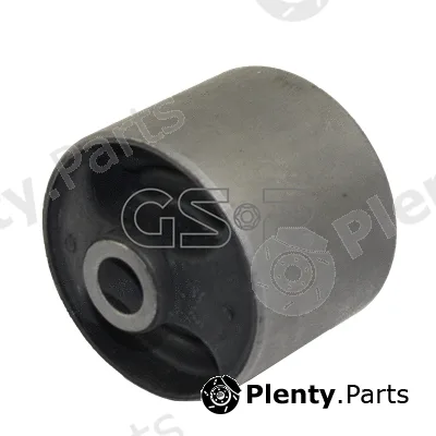 GSP 516501 — Mounting, differential