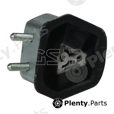 GSP 510909 — Mounting, engine