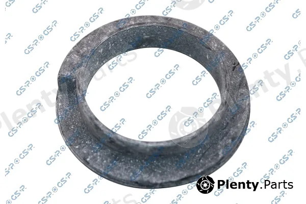GSP 538113 — Spring Mounting