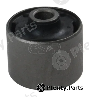 GSP 516393 — Mounting, differential