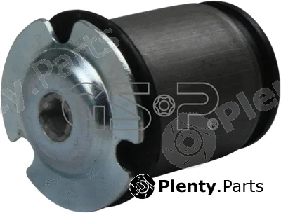 GSP 530276 — Bushing, axle beam