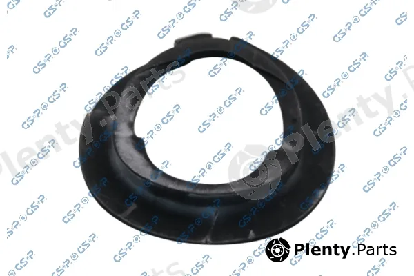 GSP 538209 — Spring Mounting