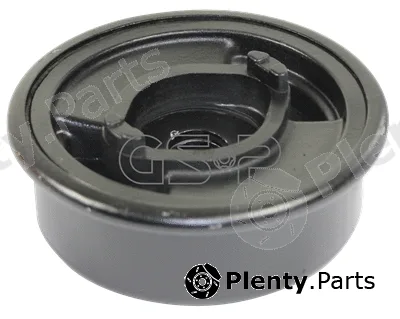 GSP 516737 — Mounting, differential