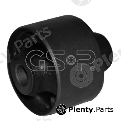 GSP 516366 — Mounting, differential