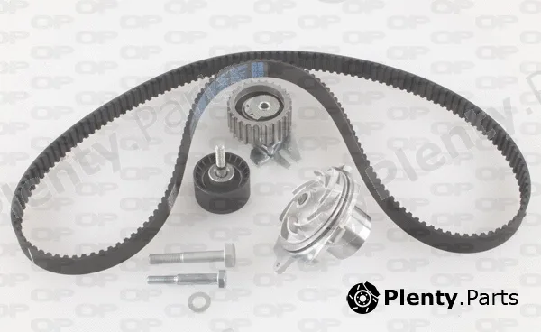 Open Parts WTBK5003.00 — Water Pump & Timing Belt Kit Reinforced (HSN)