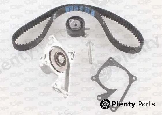 Open Parts WTBK5017.02 — Water Pump & Timing Belt Kit Reinforced (HSN)