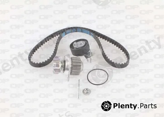 Open Parts WTBK5006.00 — Water Pump & Timing Belt Kit Reinforced (HSN)
