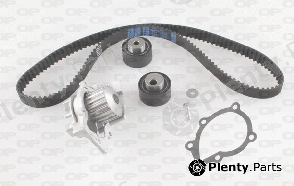 Open Parts WTBK5089.00 — Water Pump & Timing Belt Kit Reinforced (HSN)