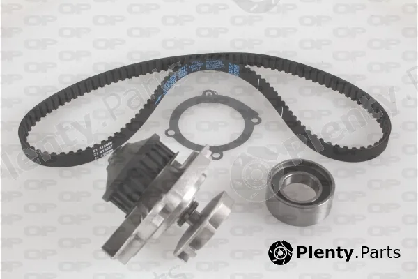 Open Parts WTBK5016.00 — Water Pump & Timing Belt Kit Reinforced (HSN)