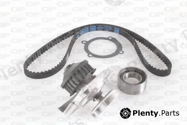 Open Parts WTBK5010.00 — Water Pump & Timing Belt Kit Reinforced (HSN)
