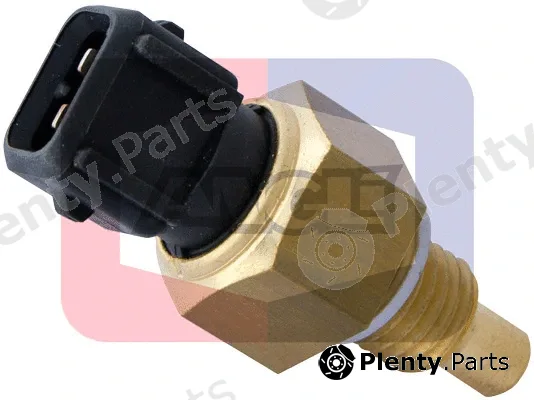 Angli 1879 — Sensor, coolant temperature