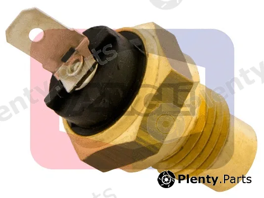 Angli 1509 — Sensor, coolant temperature
