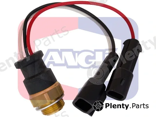 Angli 1670 — Temperature Switch, radiator fan