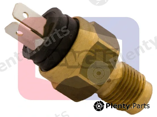 Angli 1705 — Sensor, coolant temperature