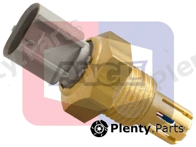 Angli 19019 — Sensor, intake air temperature