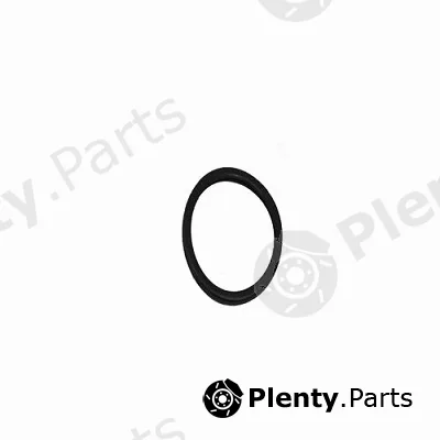Klaxcar France 15604789a — Seal, thermostat