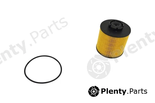 Klaxcar France FE040z — Fuel Filter
