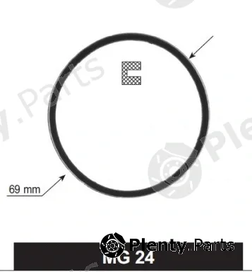 Motorad MG24 — Seal, thermostat