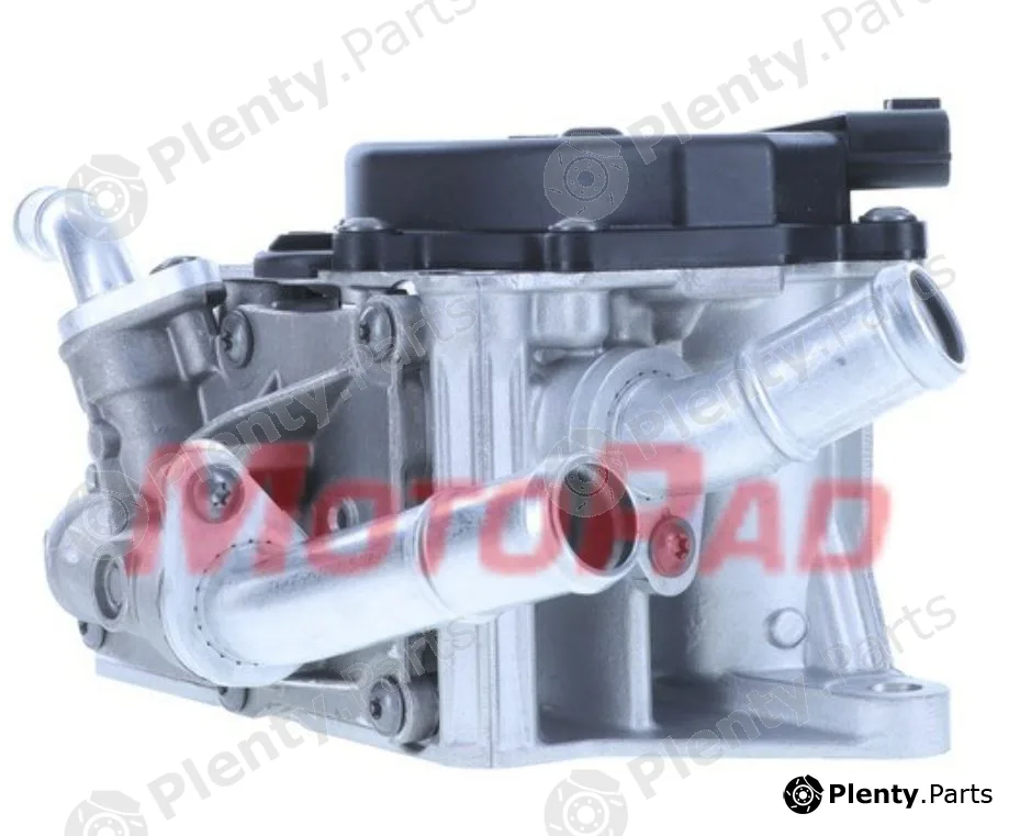 Motorad 1221-81 — Thermostat, coolant