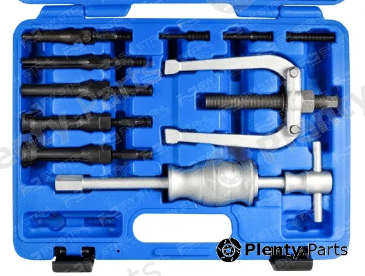 Swstahl 09665L — Internal Extractor Set