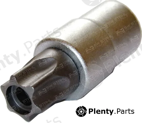 Swstahl 10121L — Retaining Pin, timing chain tensioner