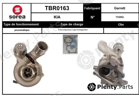 EAI TBR0163 — Charger, charging (supercharged/turbocharged)