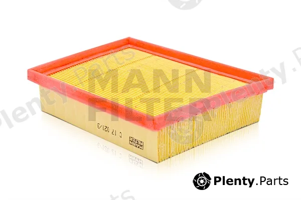 MANN-FILTER C17021/3 — Air Filter