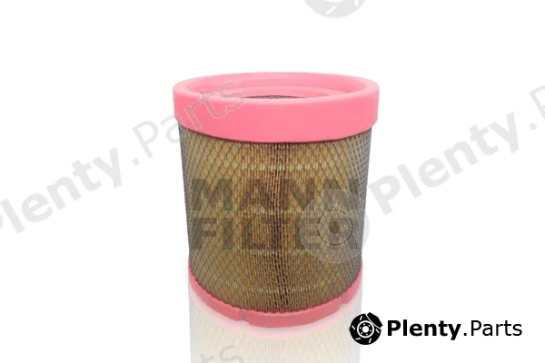 MANN-FILTER C31021/1 — Air Filter