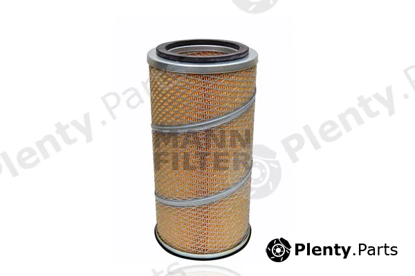 MANN-FILTER C17262/1 — Air Filter