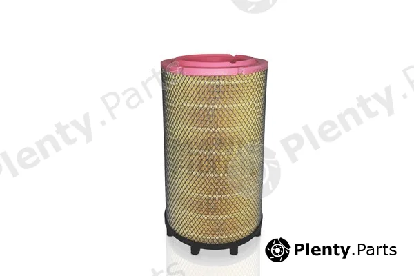MANN-FILTER C31017/1 — Air Filter