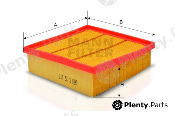 MANN-FILTER C22113 — Air Filter
