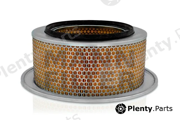 MANN-FILTER C29254/1 — Air Filter