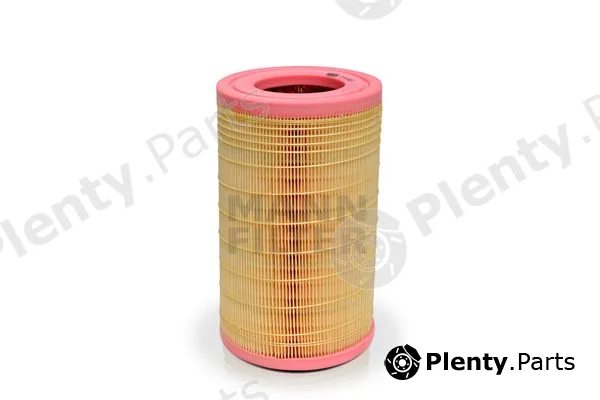 MANN-FILTER C16010/1 — Air Filter