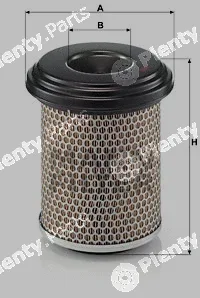 MANN-FILTER C17217/1 — Air Filter