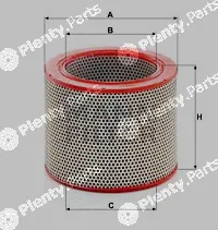 MANN-FILTER C21138/1 — Air Filter