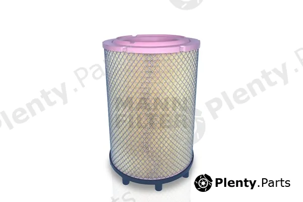 MANN-FILTER C31014/2 — Air Filter