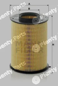MANN-FILTER C16134/1 — Air Filter