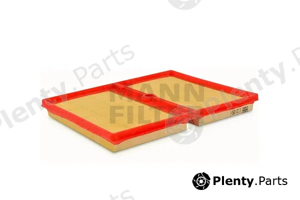 MANN-FILTER C22035/1 — Air Filter