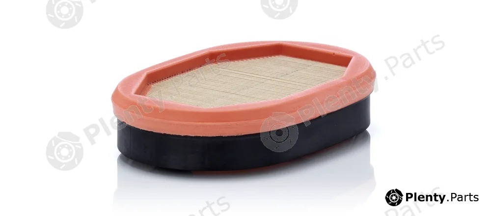 MANN-FILTER CF2135 — Secondary Air Filter