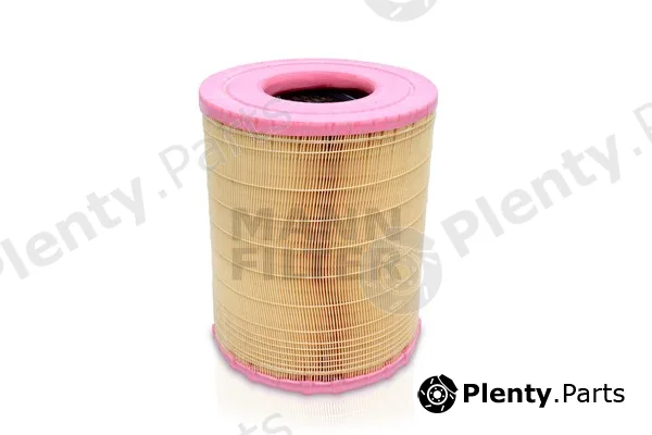 MANN-FILTER C281012 — Air Filter