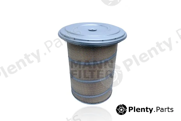 MANN-FILTER C30880/1 — Air Filter