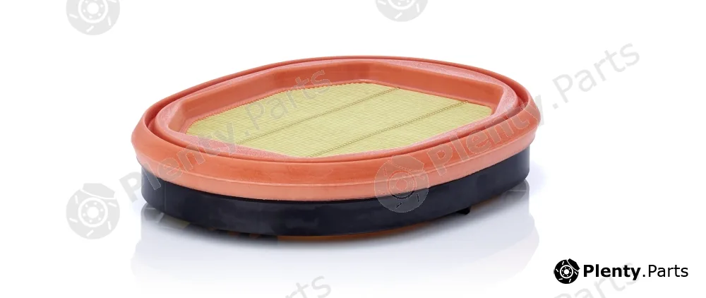 MANN-FILTER CF2864 — Secondary Air Filter