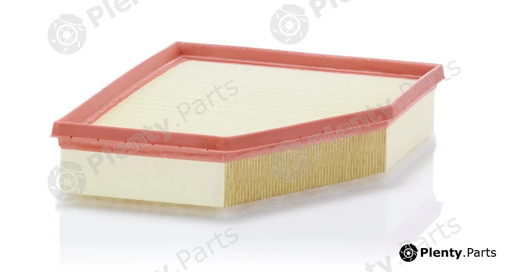 MANN-FILTER C28038 — Air Filter