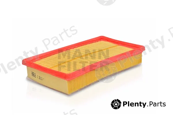 MANN-FILTER C2982/1 — Air Filter
