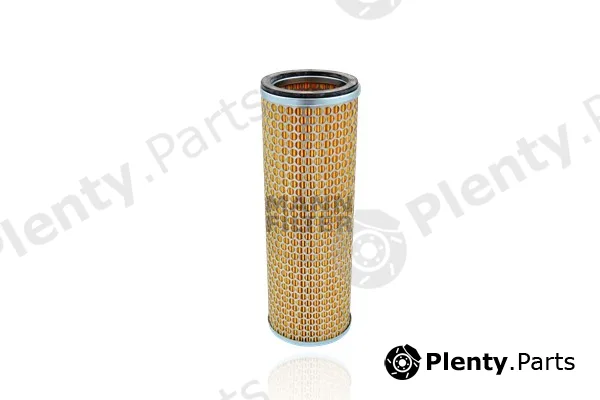 MANN-FILTER C1157/2 — Secondary Air Filter