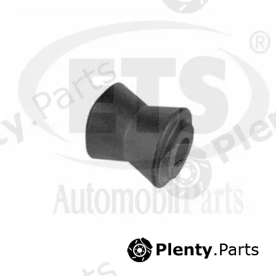 ETS 05.ST.171 — Mounting, engine