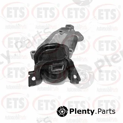 ETS 22.EM.137 — Mounting, engine