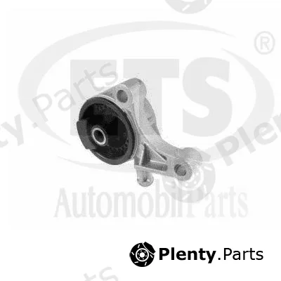 ETS 19.ST.893 — Mounting, engine