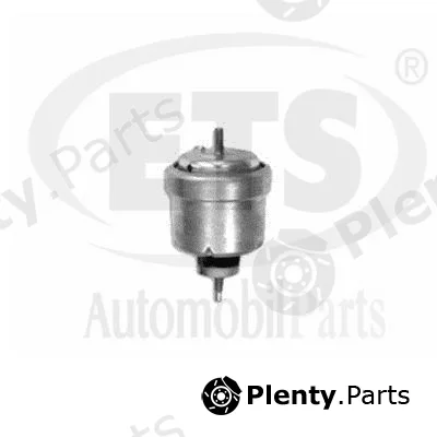 ETS 19.ST.913 — Mounting, engine