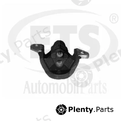 ETS 19.ST.869 — Mounting, engine